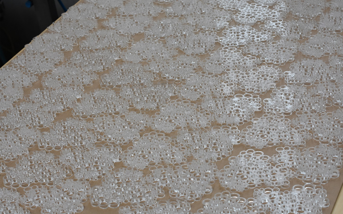 Soap dishes «schaum», «binär»