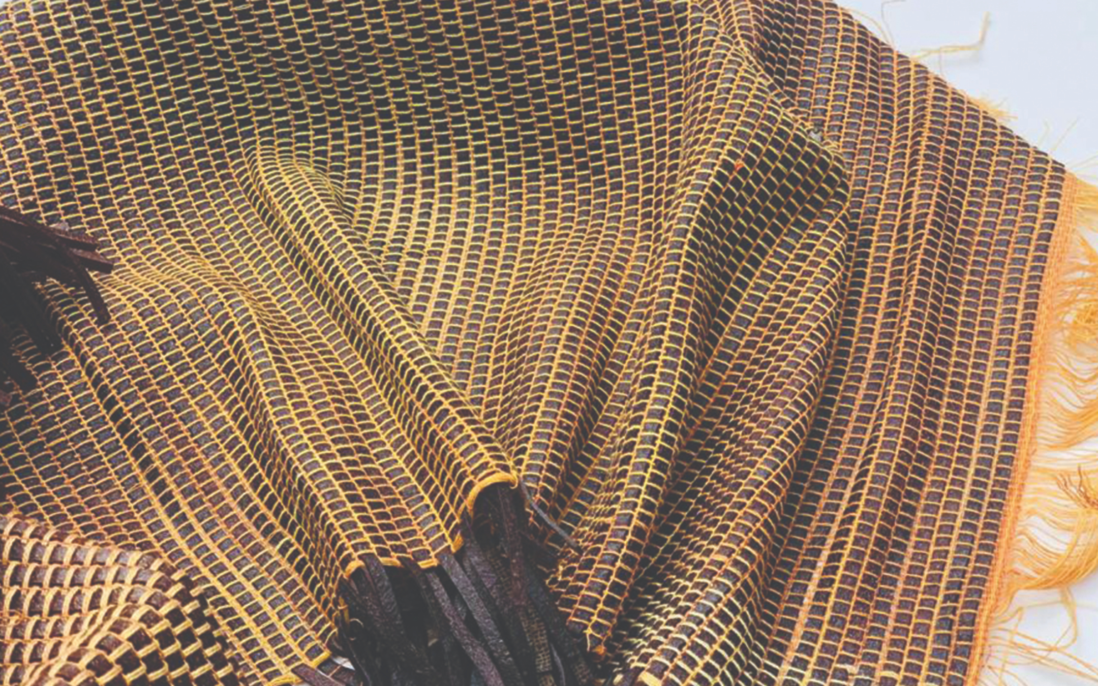 Fruit Peel Leather Alternative