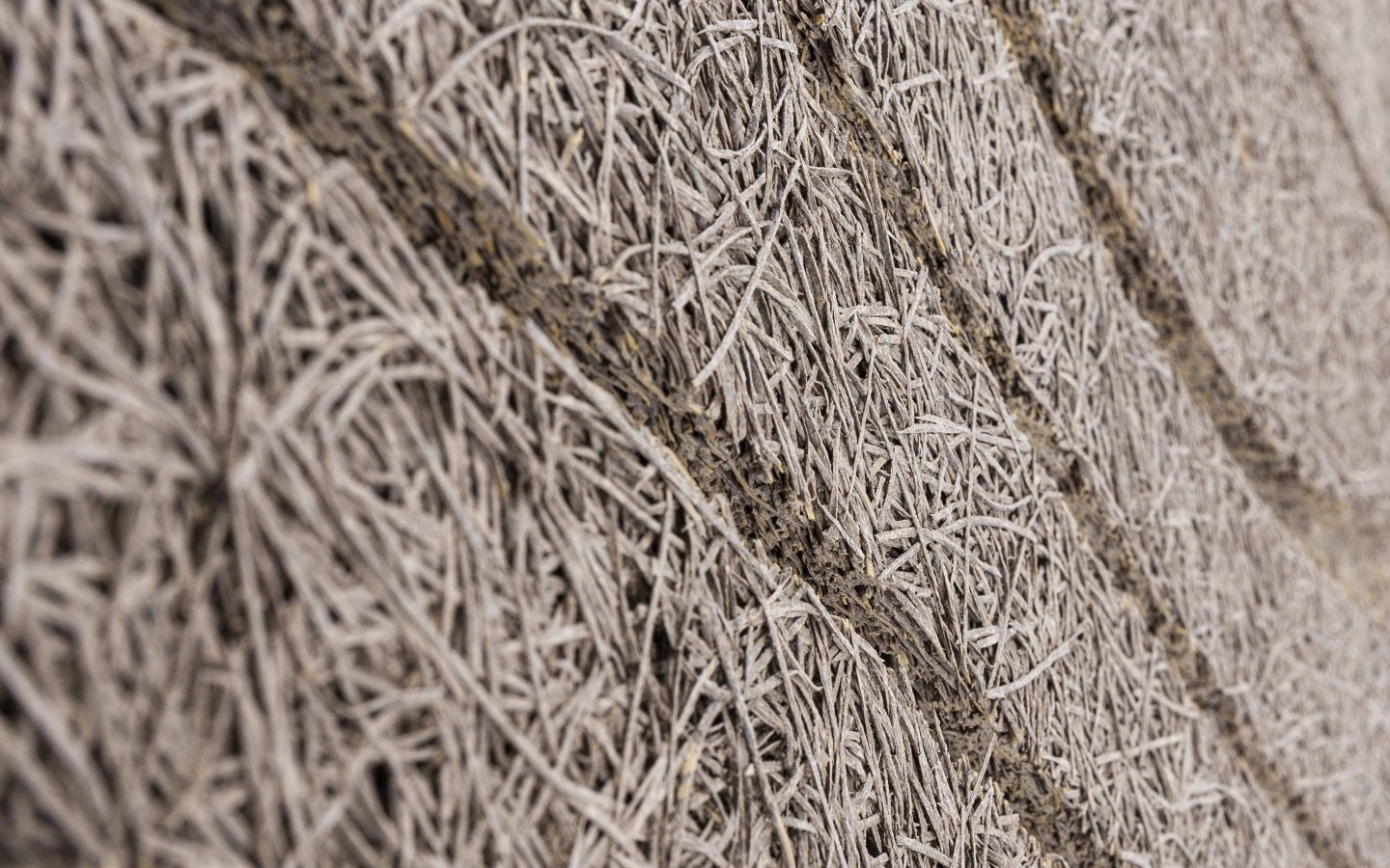 Troldtekt® with FUTURECEM™