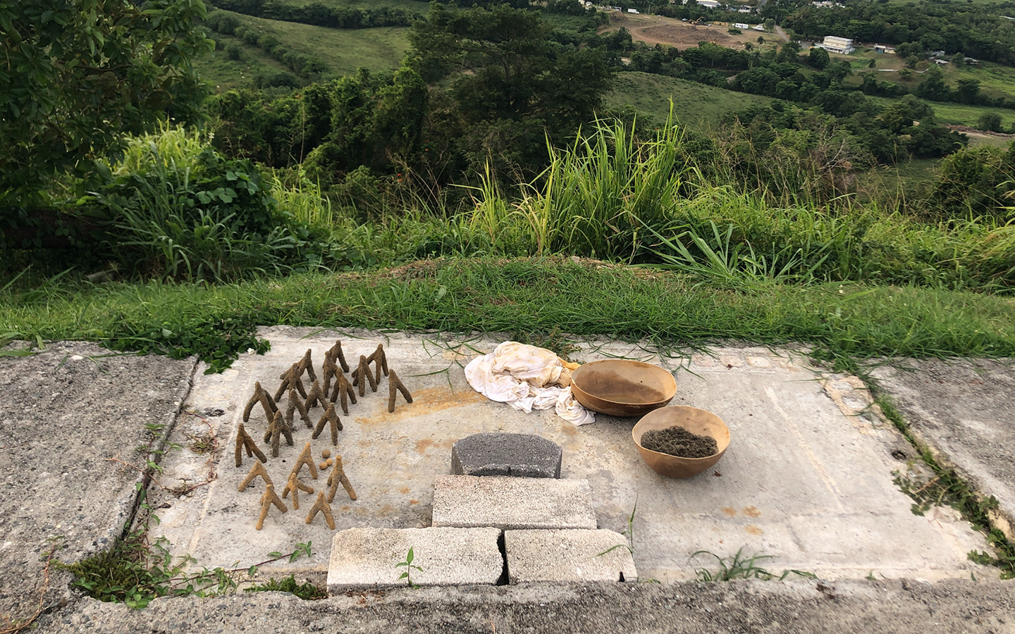 The Path to Greener Waters