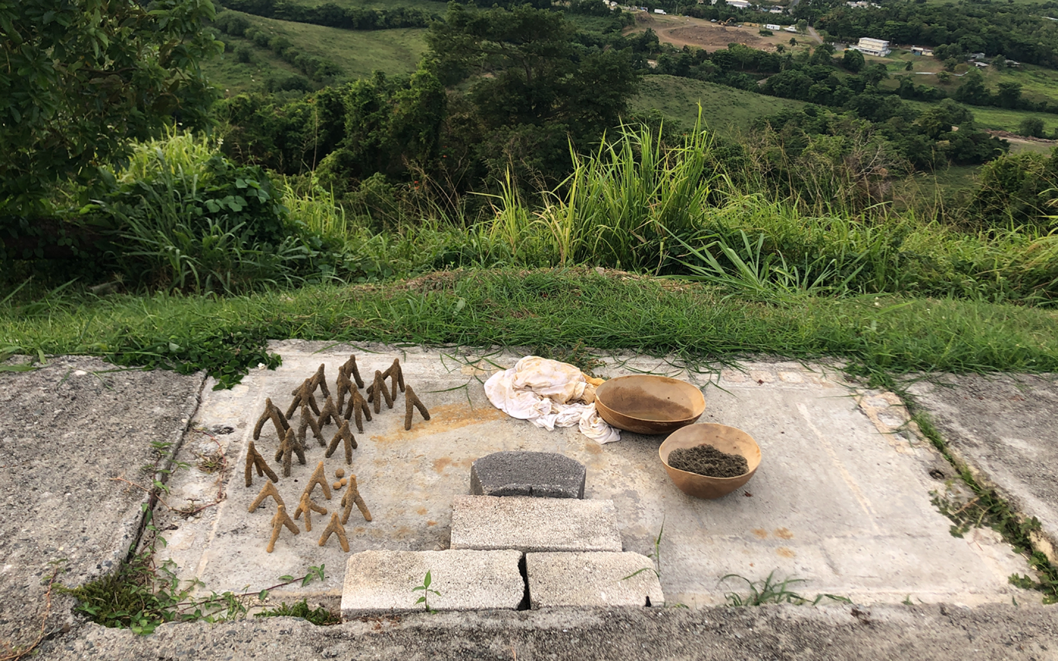 The Path to Greener Waters