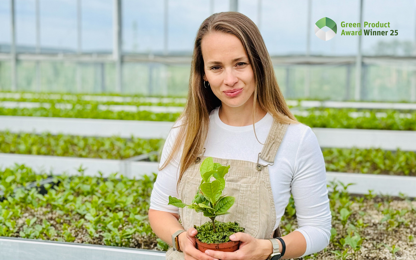 Teeanbau in Deutschland