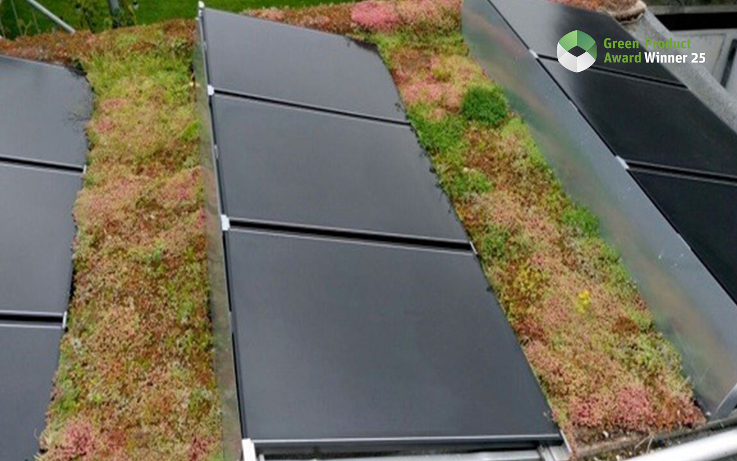 Hanfplatten für Klimaschutz