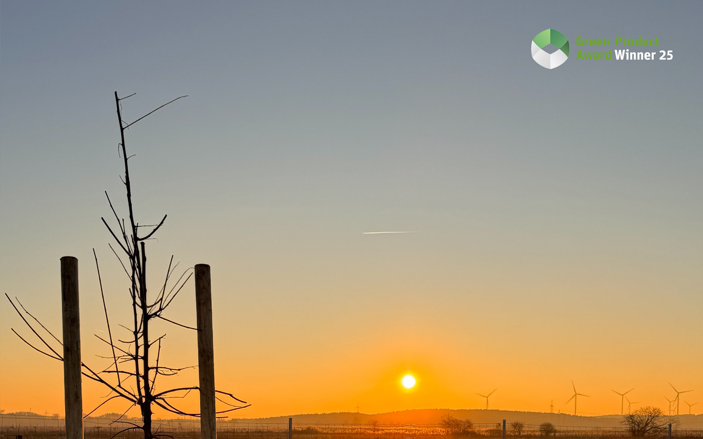 Teeanbau in Deutschland