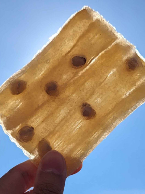 Noise Reduction Panel