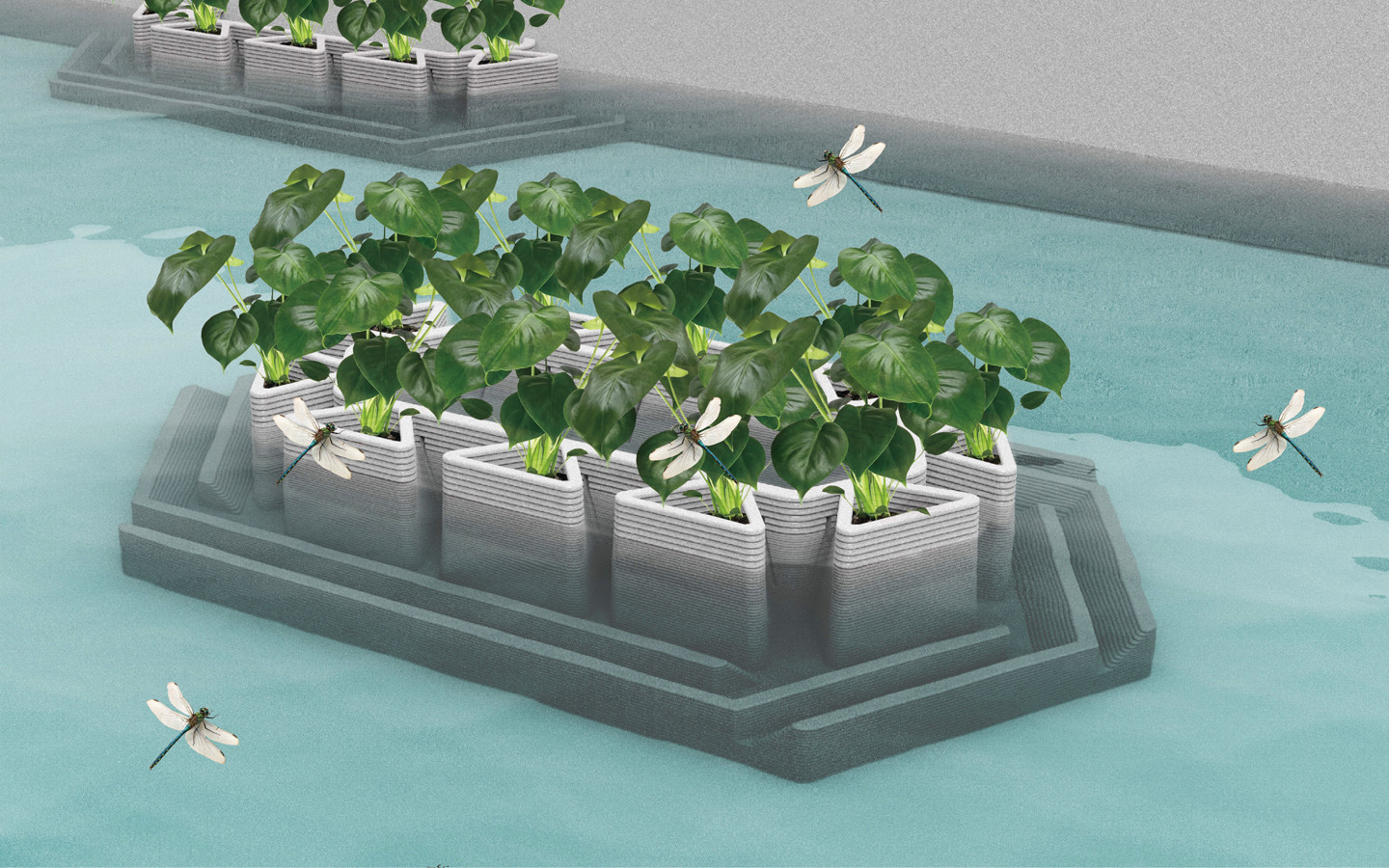 D.F.S Santuario de la Libélula