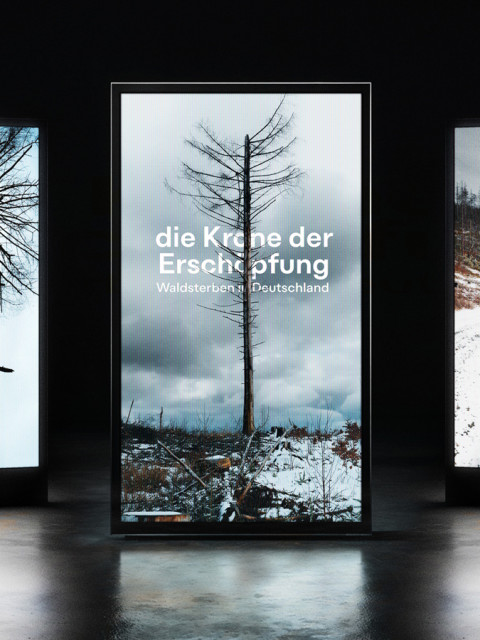 Die Krone der Erschöpfung