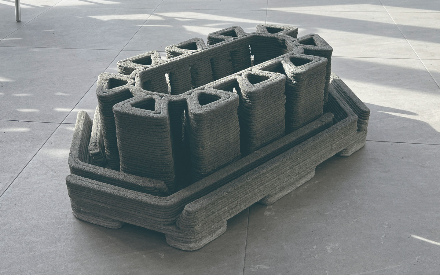 D.F.S Santuario de la Libélula