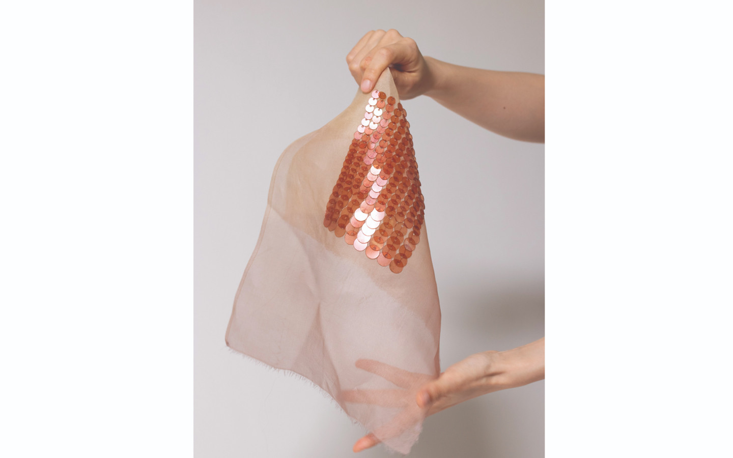 Fragmentos de la costa menguante