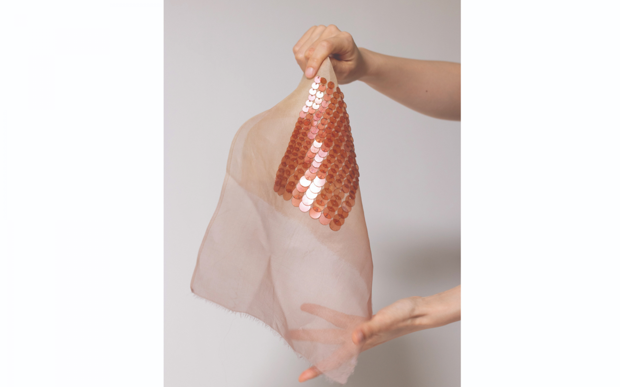 不断缩小的海岸的碎片