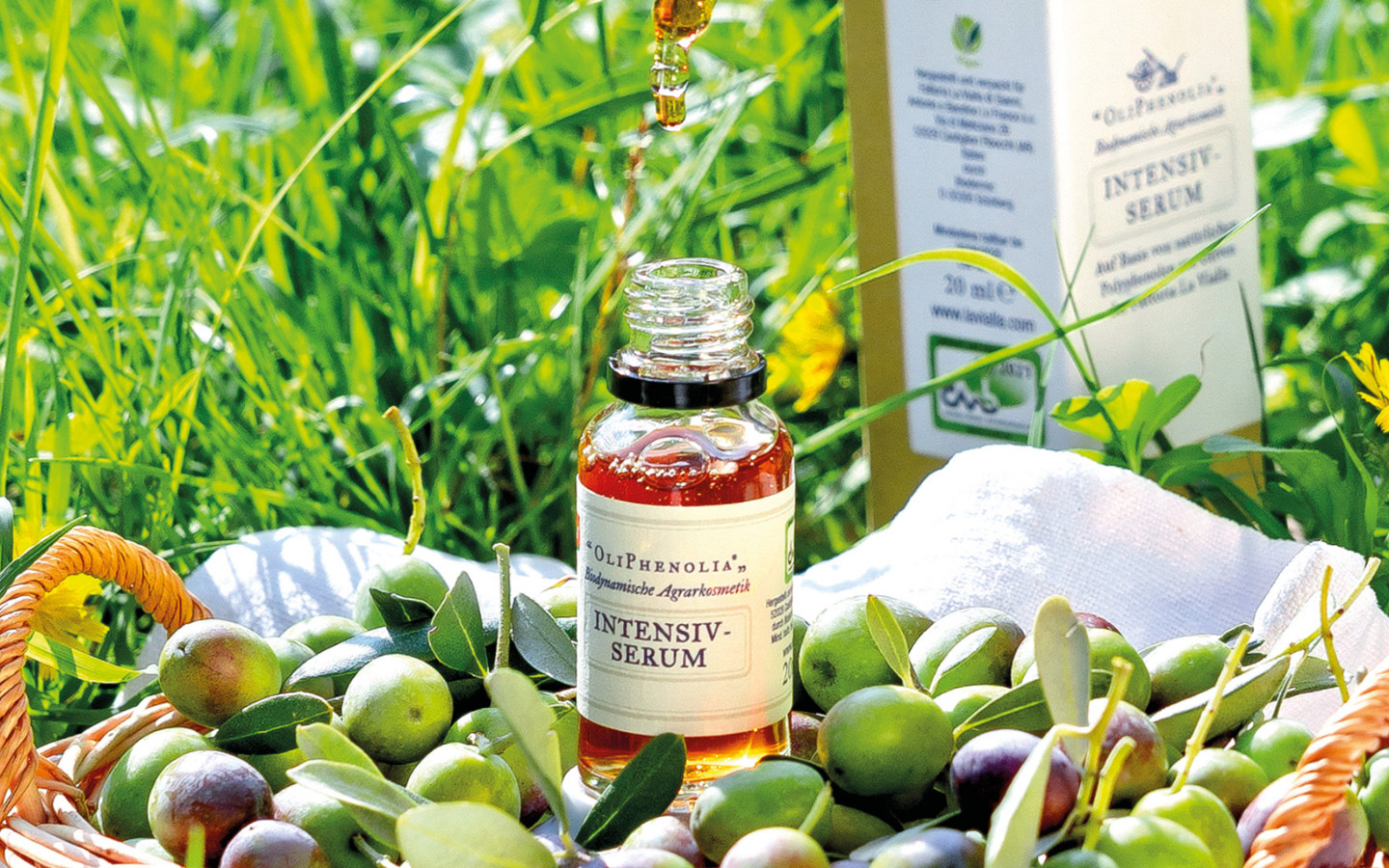 Natural Skincare OliPhenolia