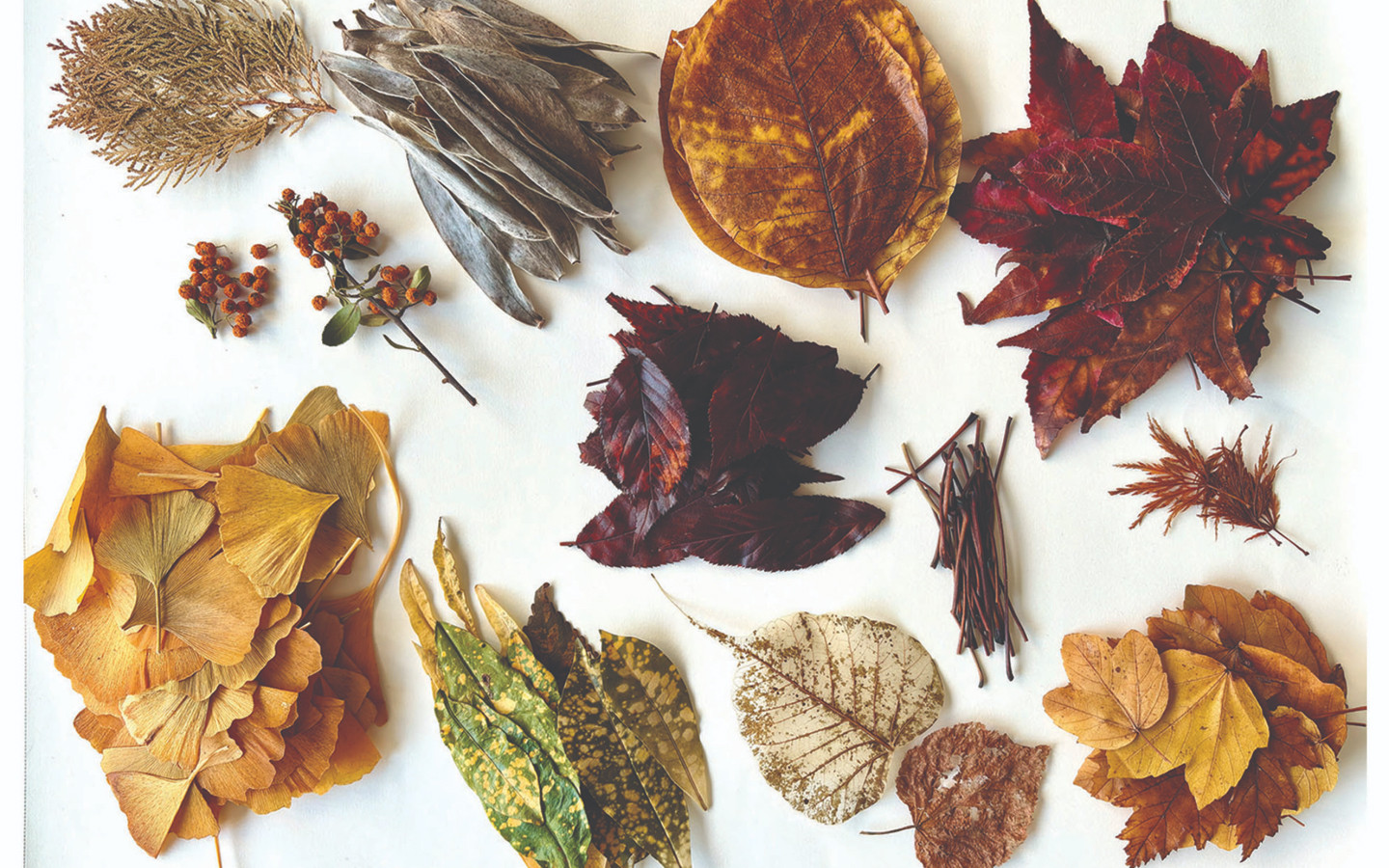 Time Trace Impermanence