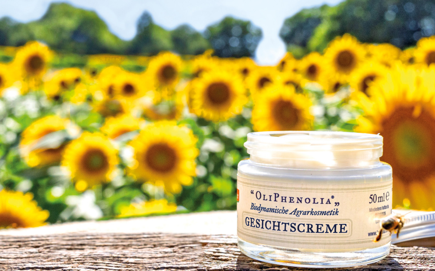 Natural Skincare OliPhenolia