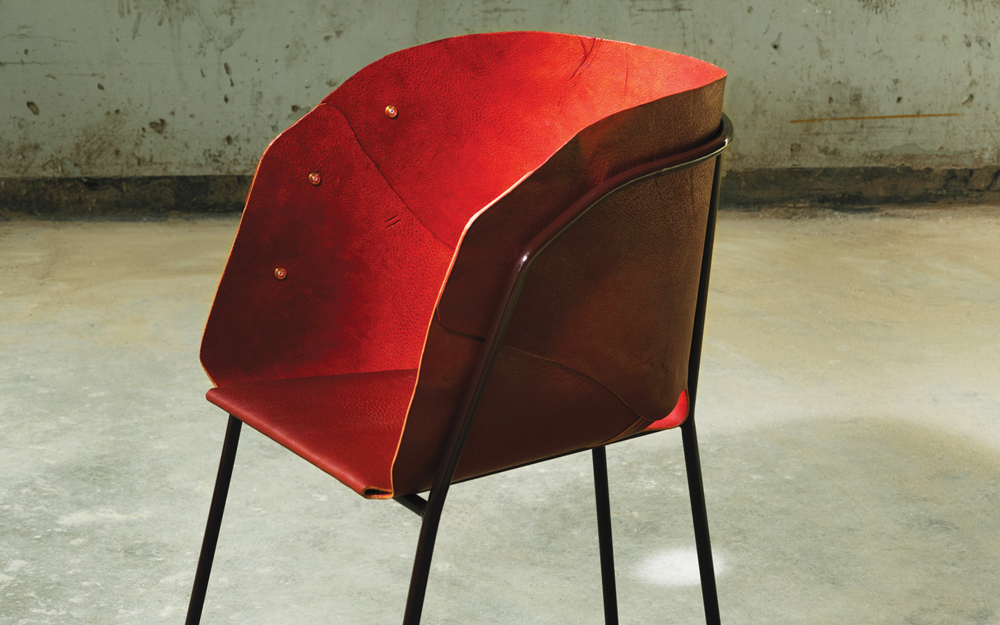 The Weight of the Hide