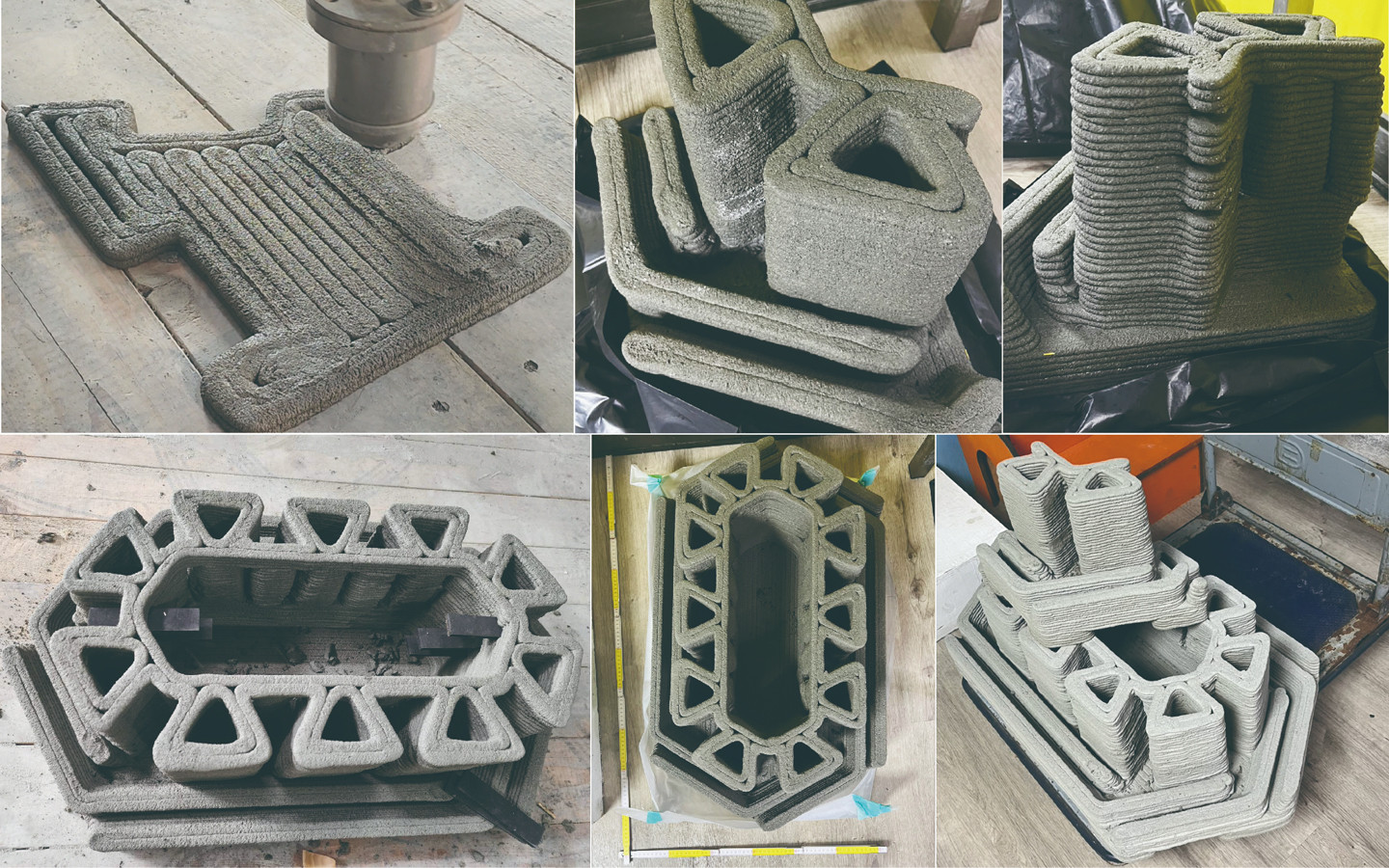 D.F.S Santuario de la Libélula