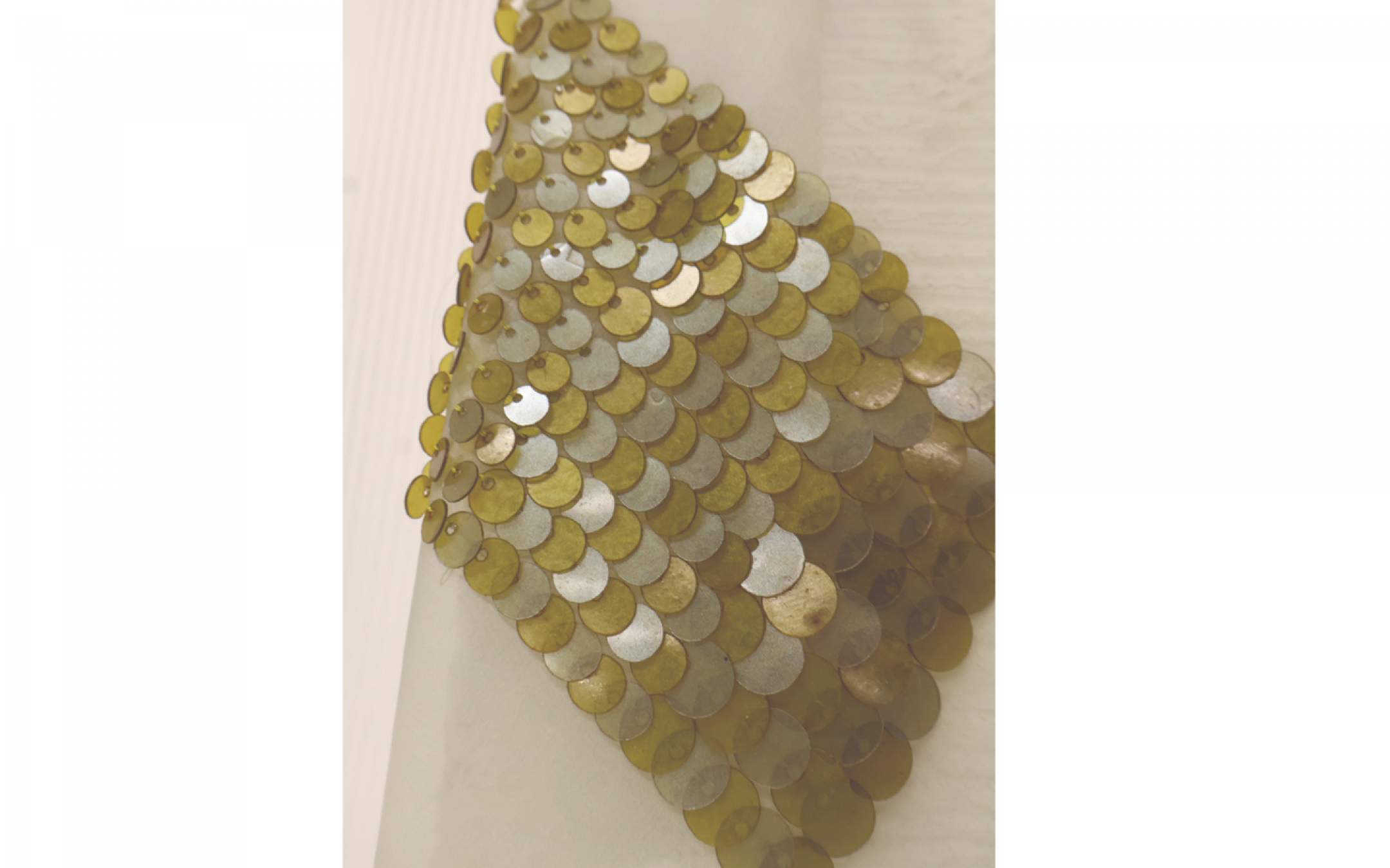 不断缩小的海岸的碎片