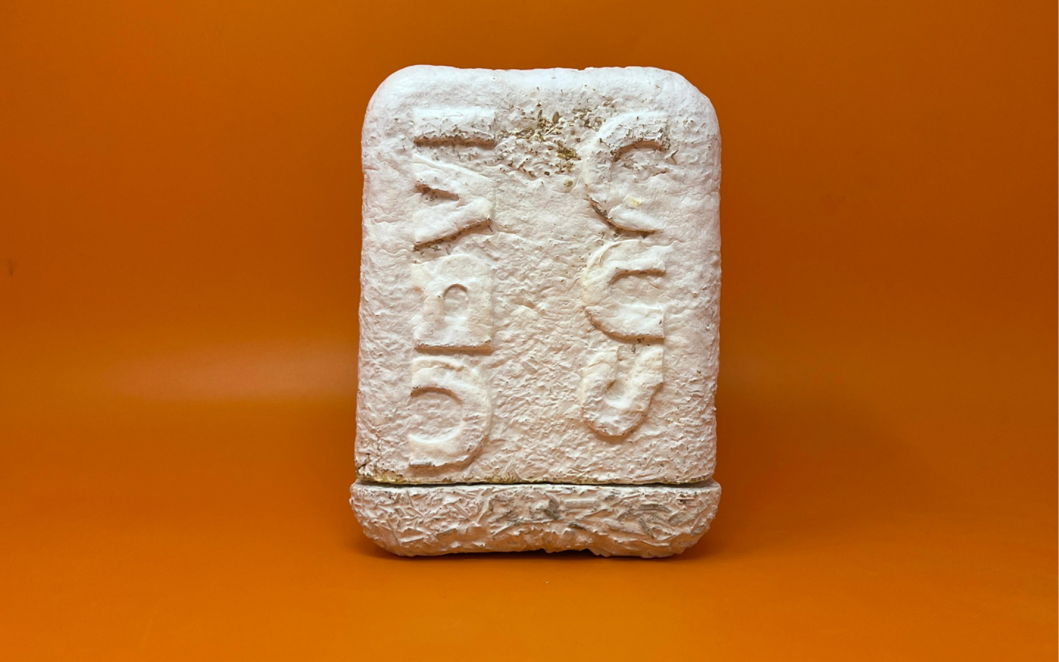 Packaging Mycelium OP