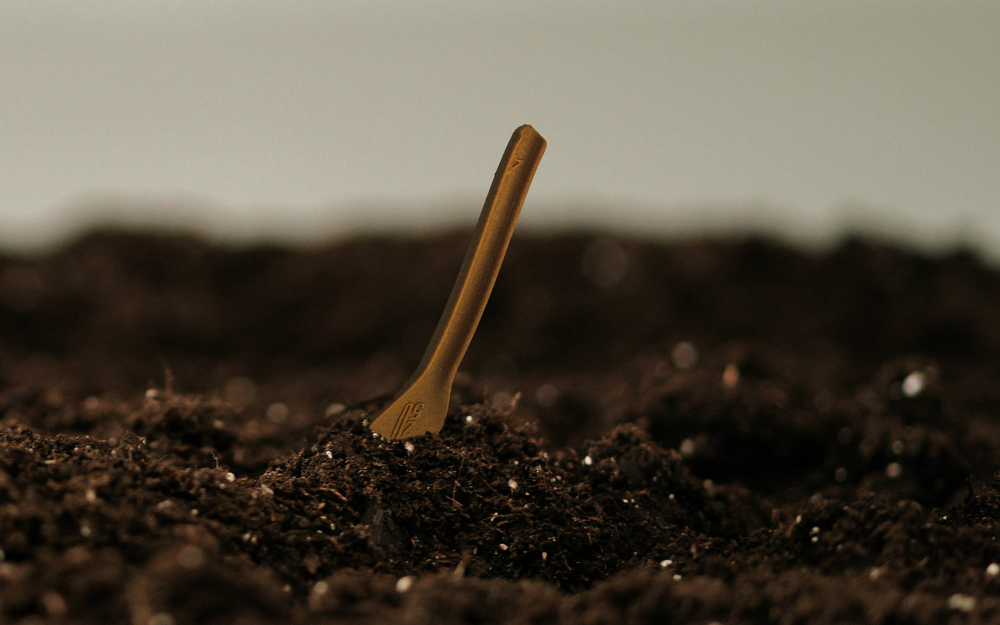 TwentyFifty® Edible Cutlery