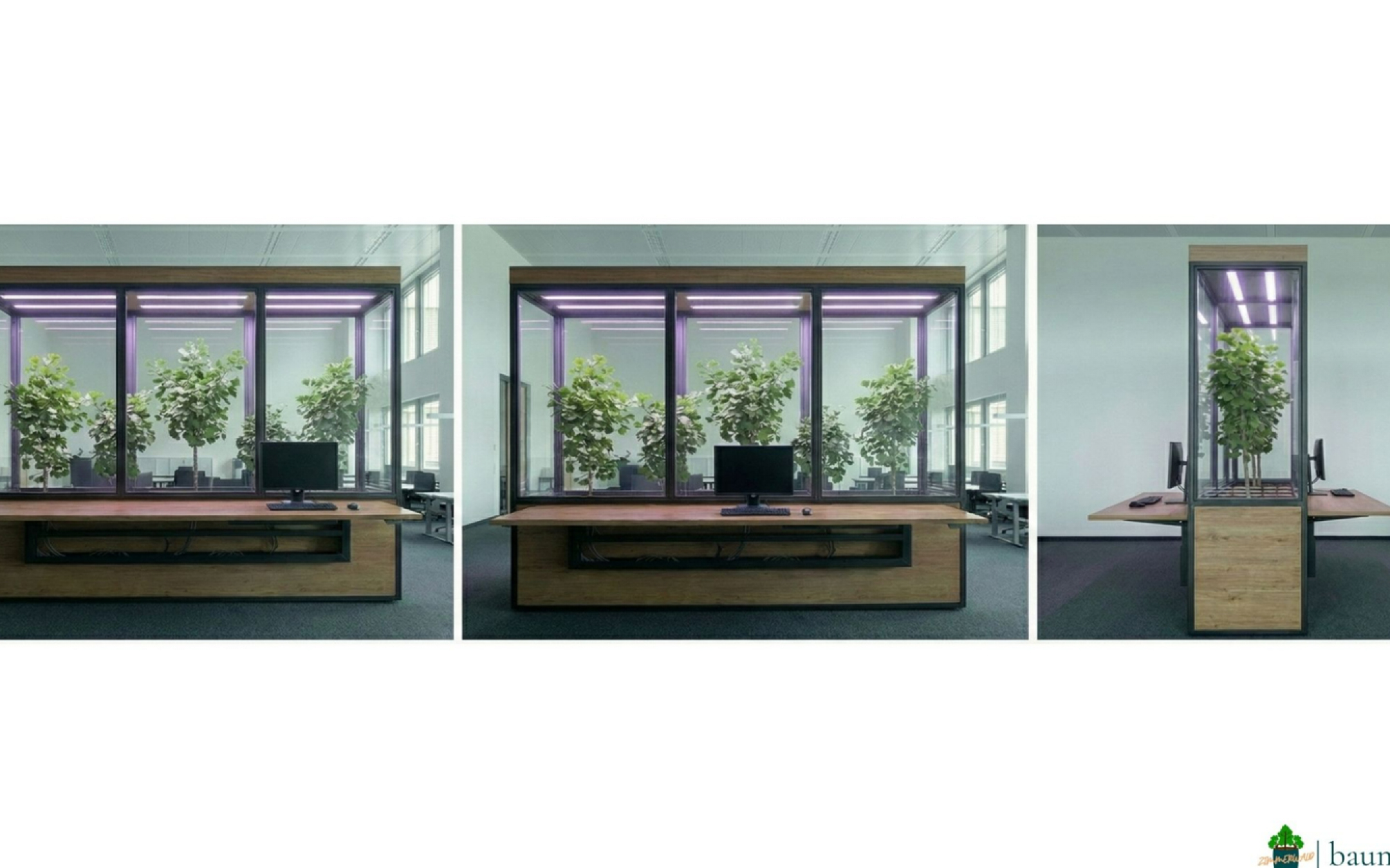 ZIMMERWALD | baumbox