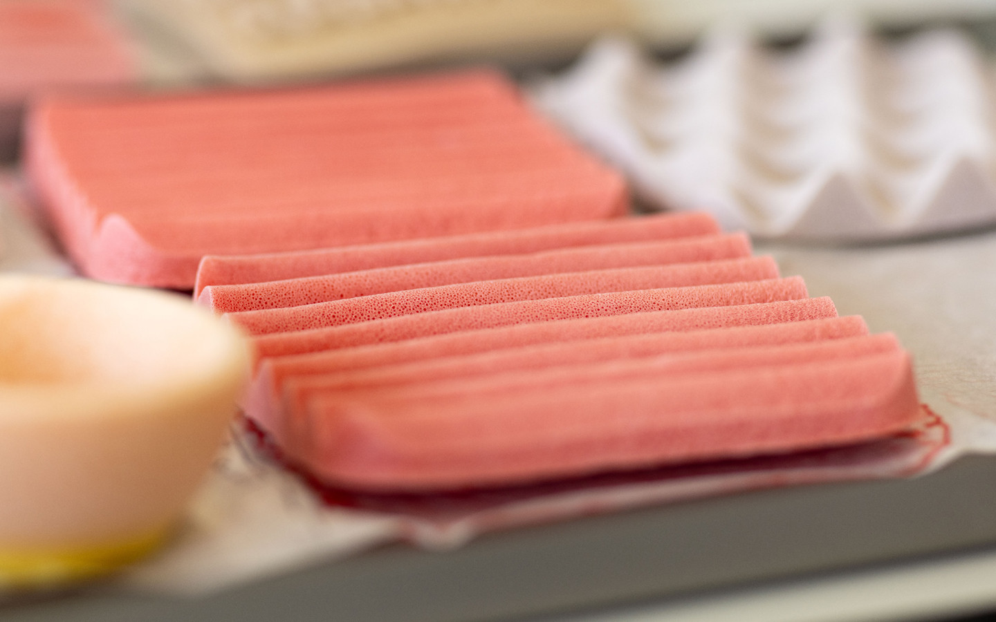 Espuma de celulosa bacteriana