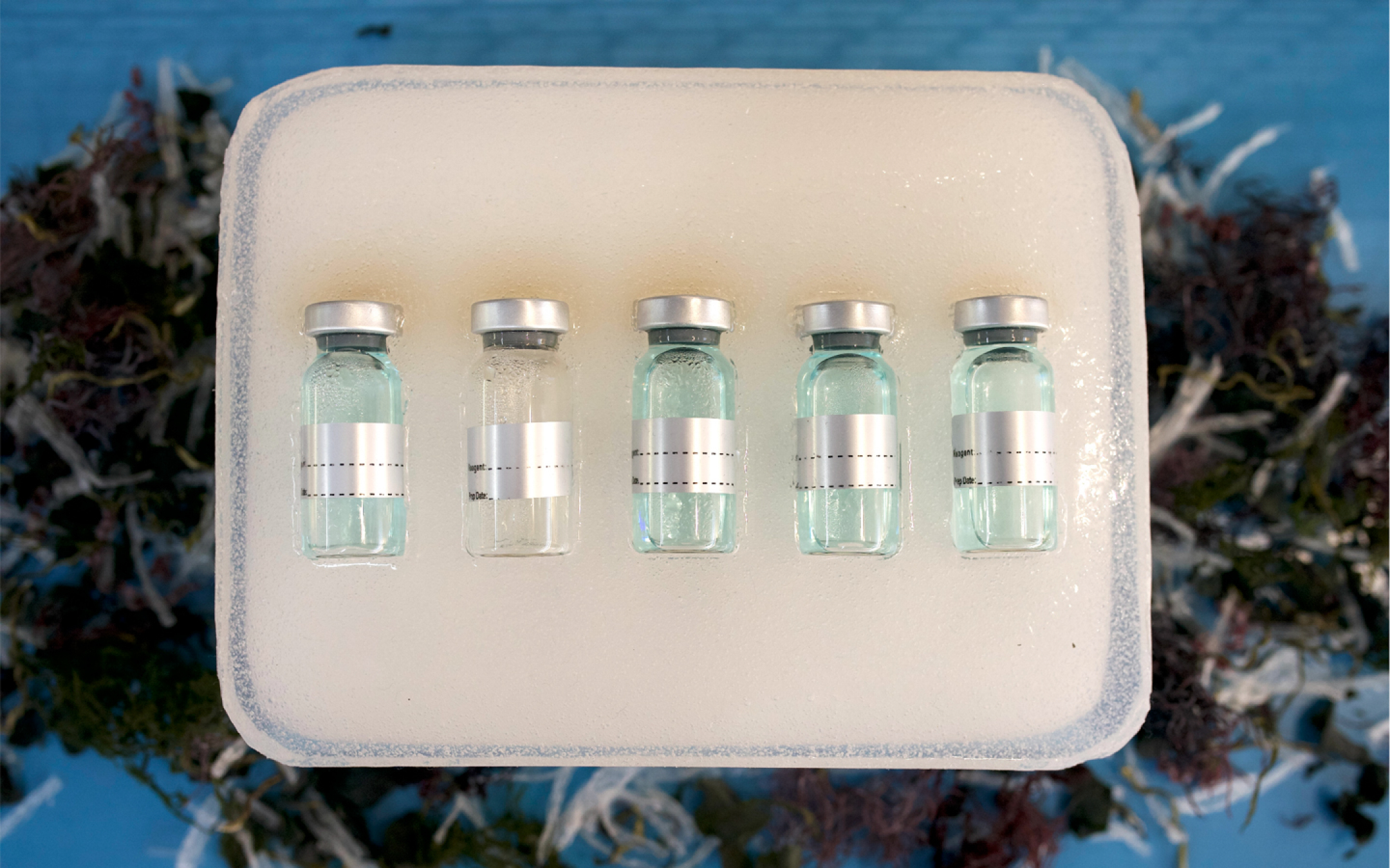 Biodegradable thermal packaging