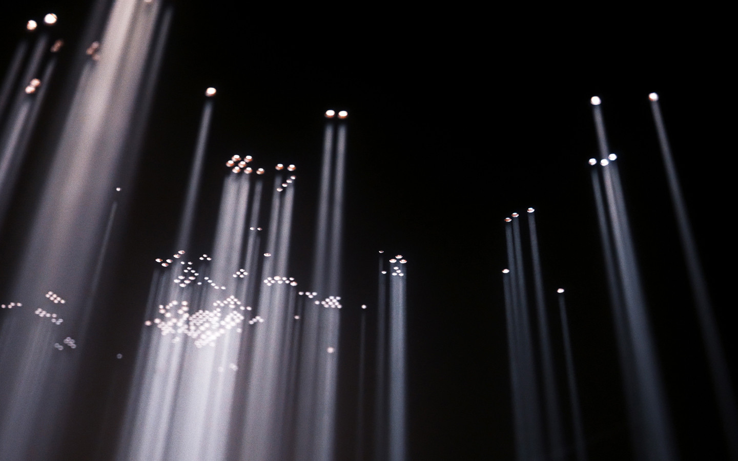 La corona de la erección