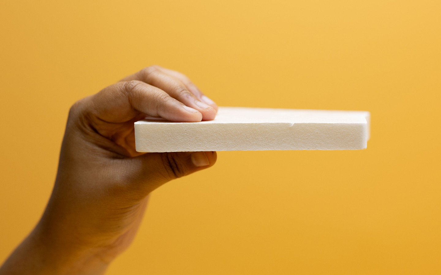 Espuma de celulosa bacteriana