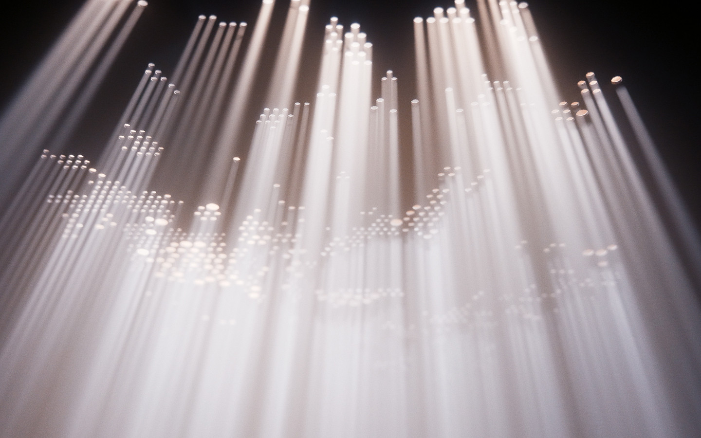 La corona de la erección