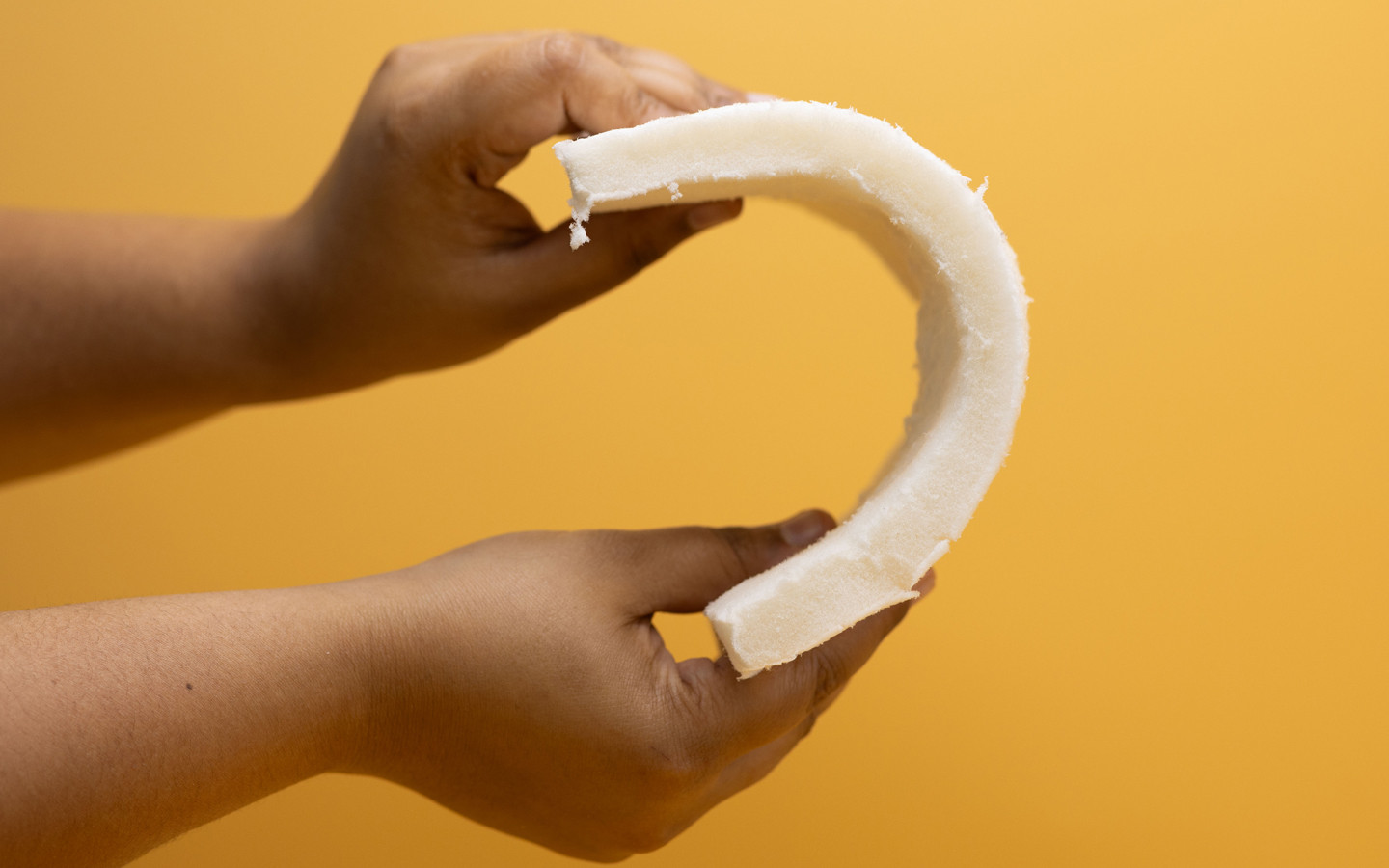 Espuma de celulosa bacteriana