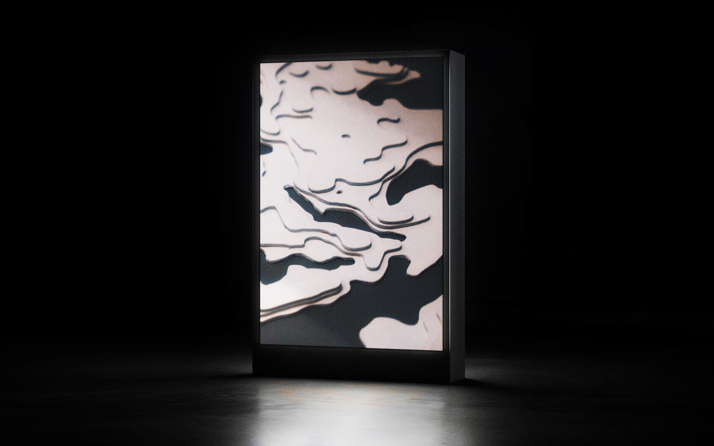 La corona de la erección