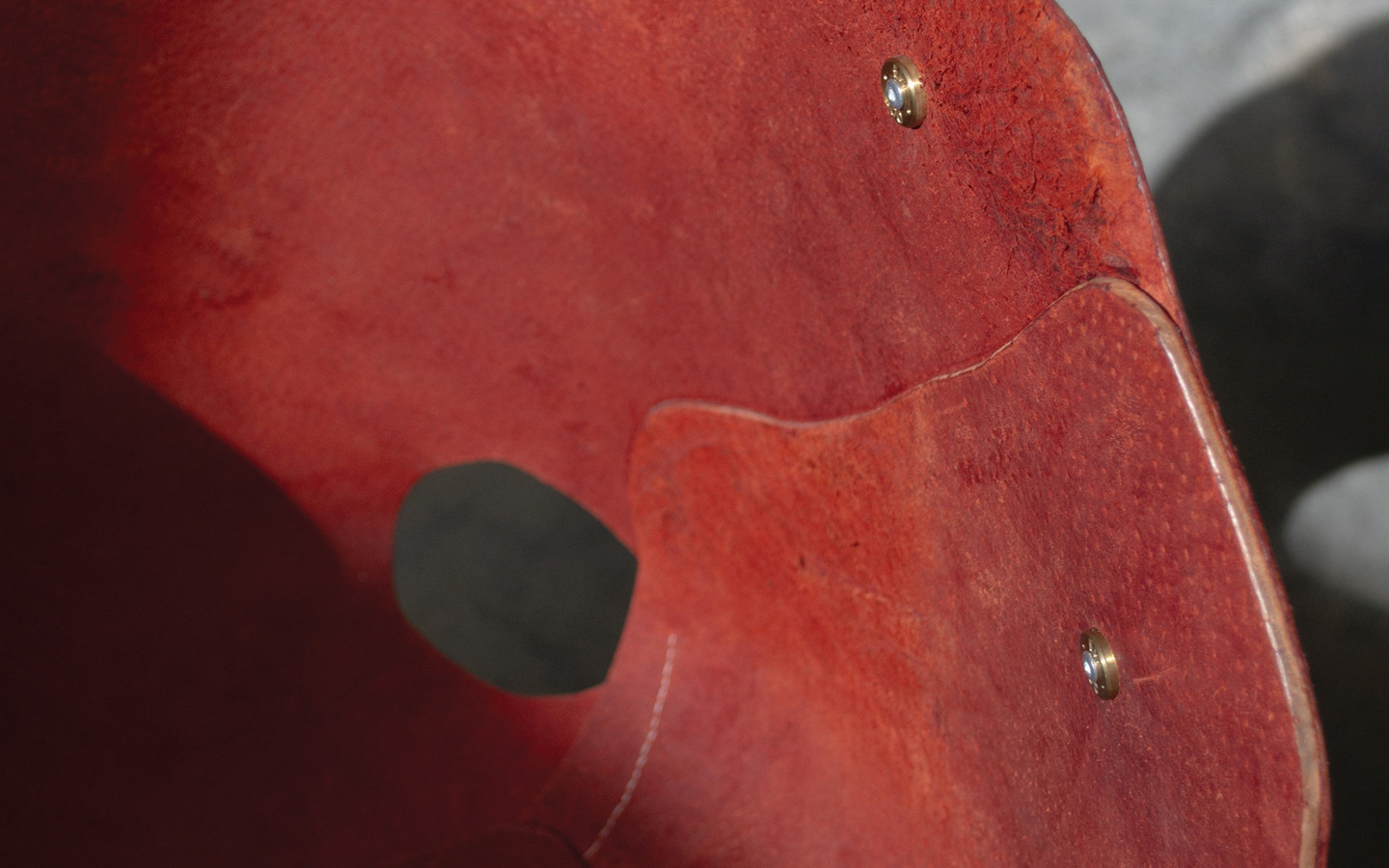 The Weight of the Hide