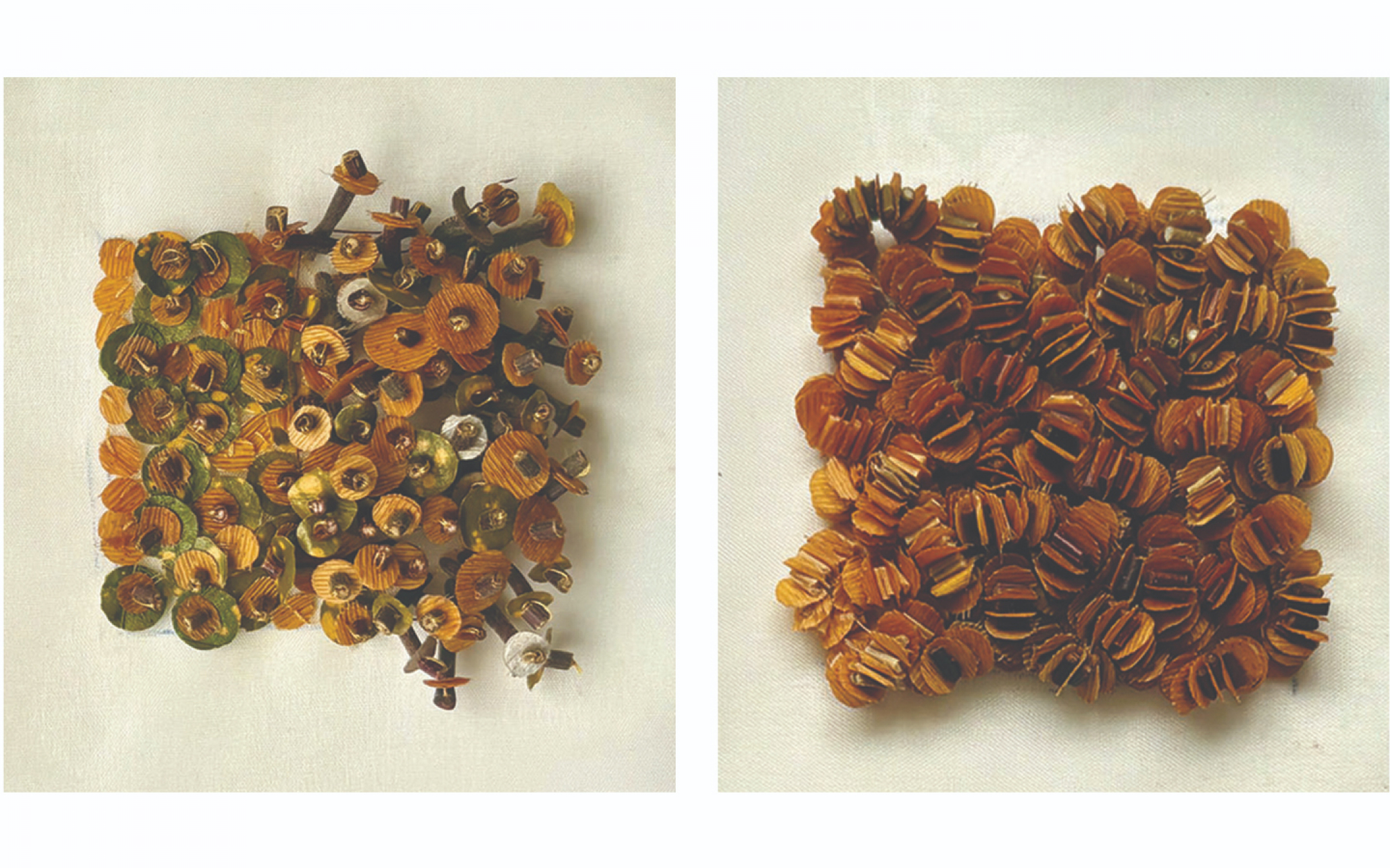 Time Trace Impermanence