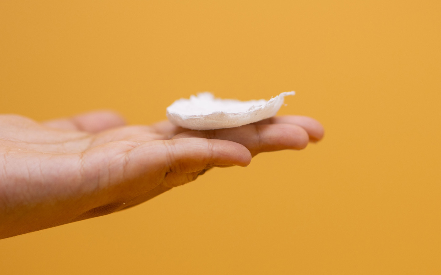 Espuma de celulosa bacteriana