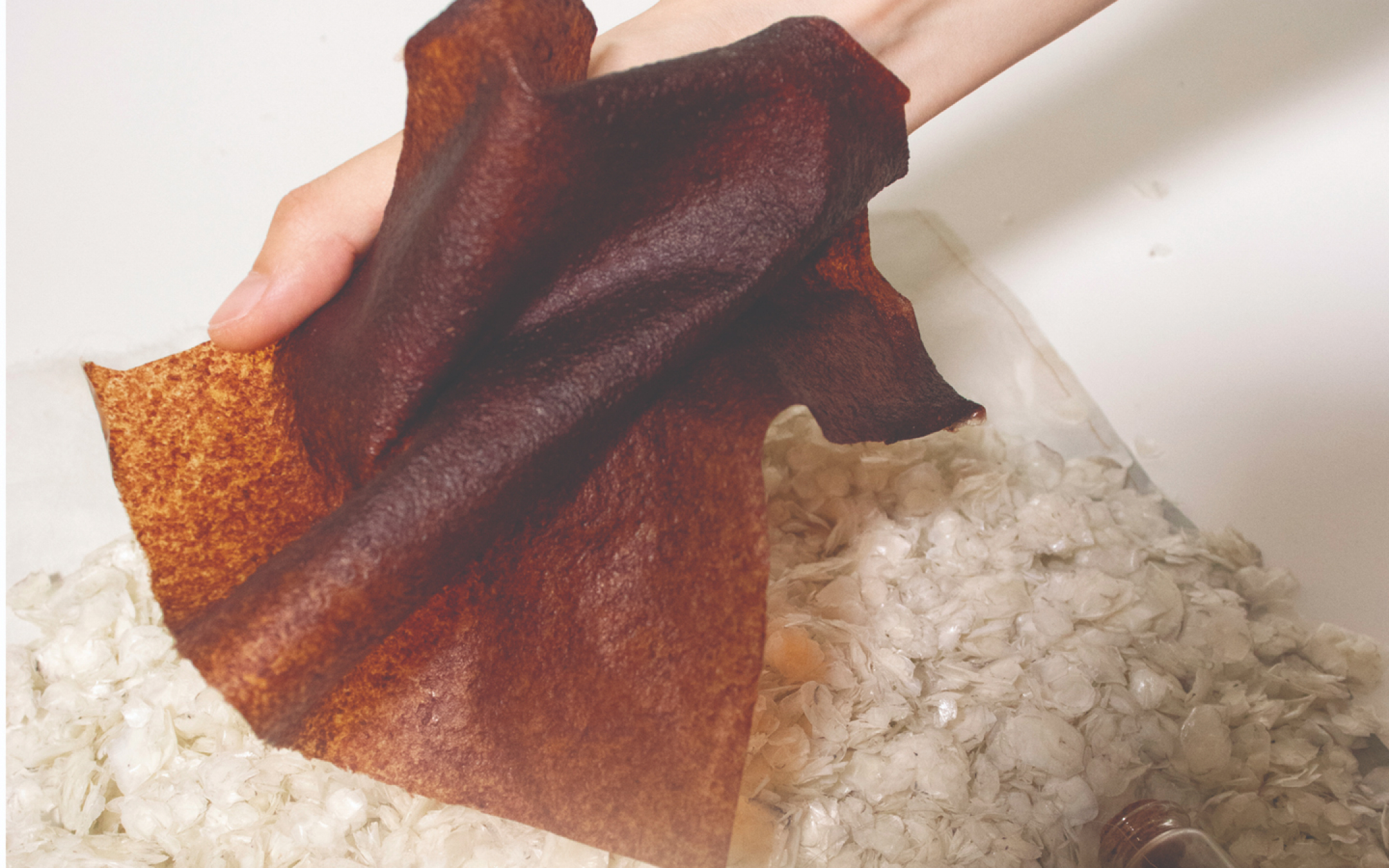 不断缩小的海岸的碎片