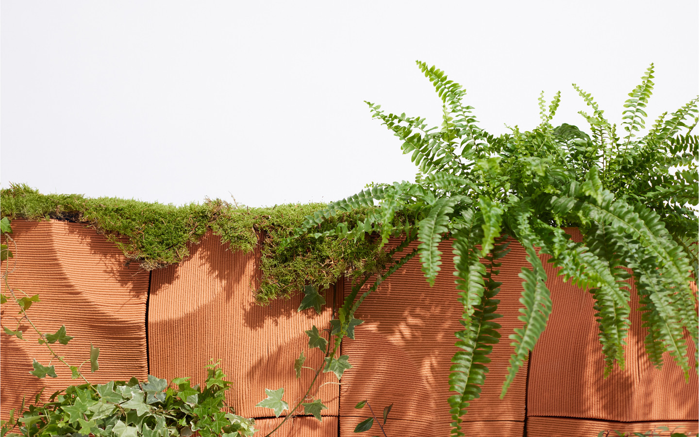 Fachadas verdes