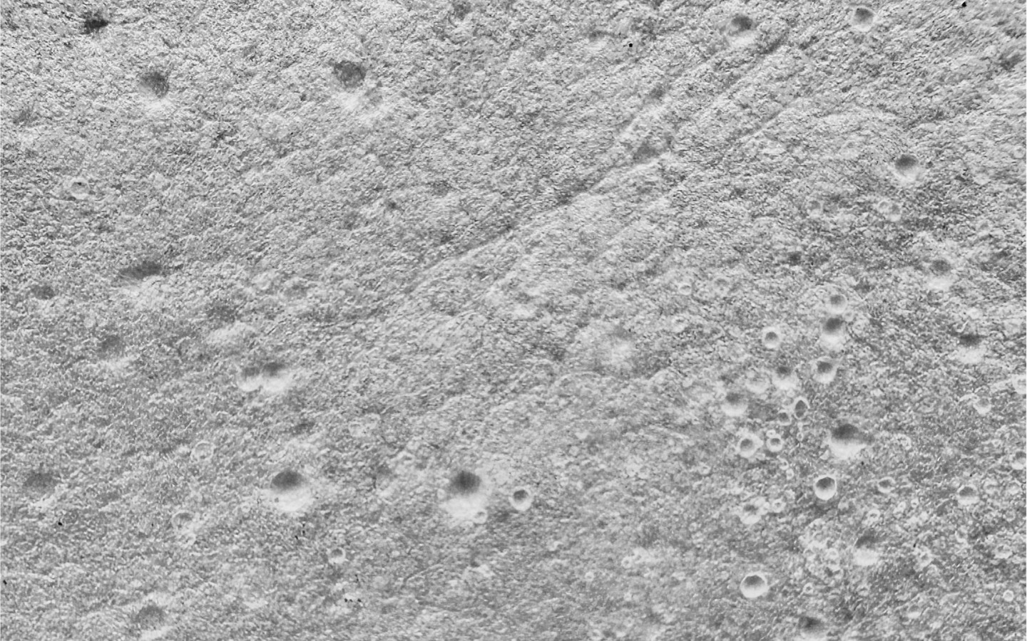 Biodegradable thermal packaging