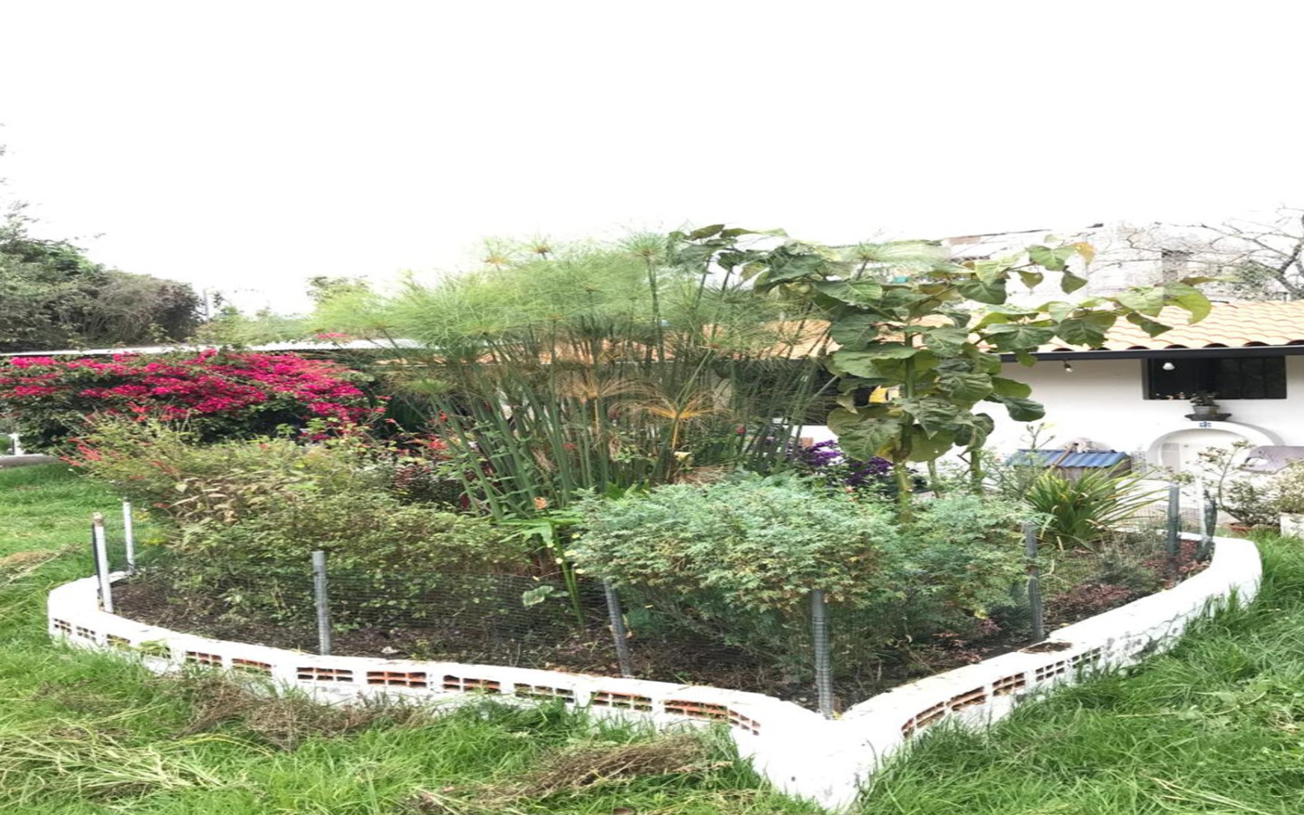 Kpulí Voltando Terra