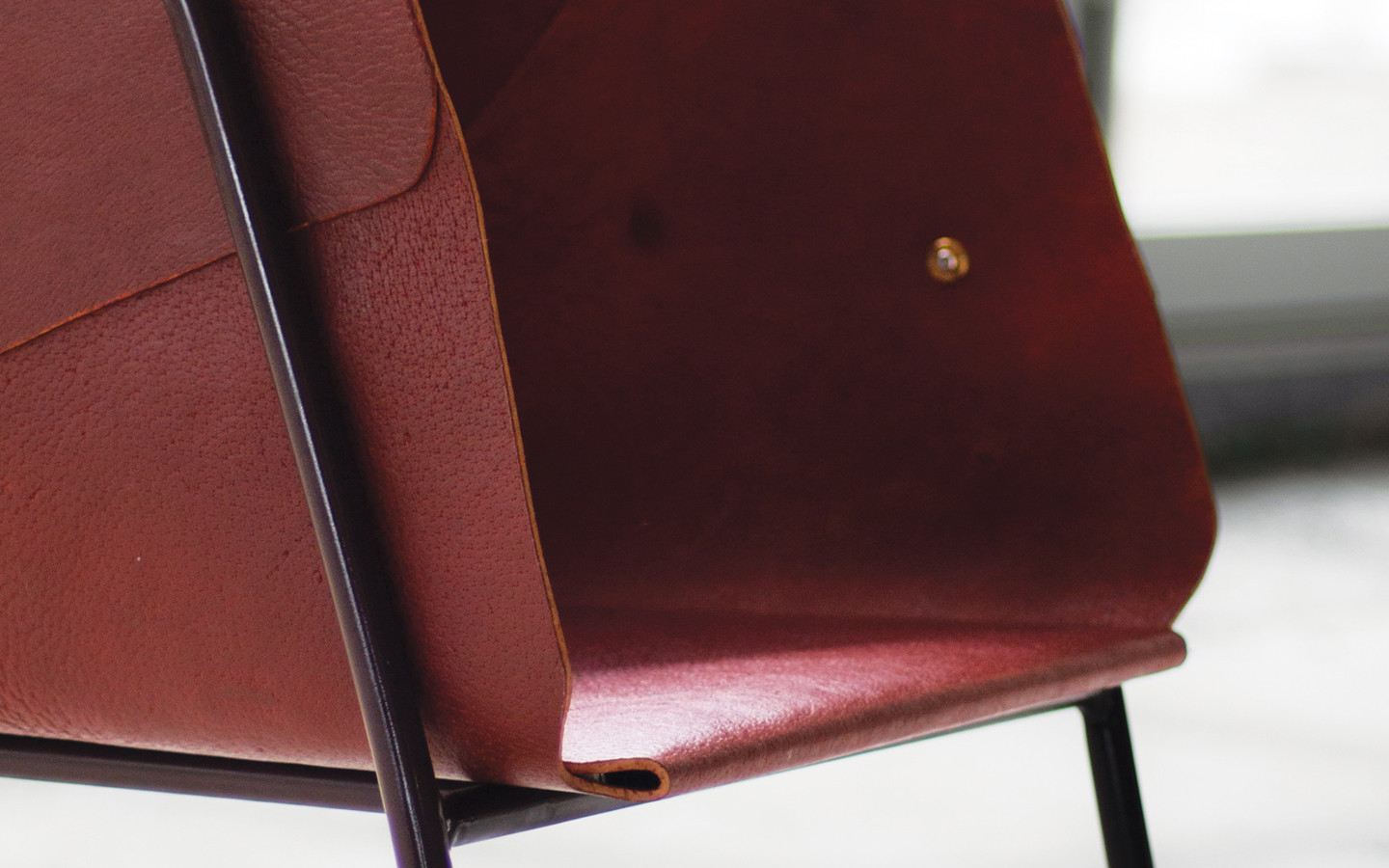 The Weight of the Hide