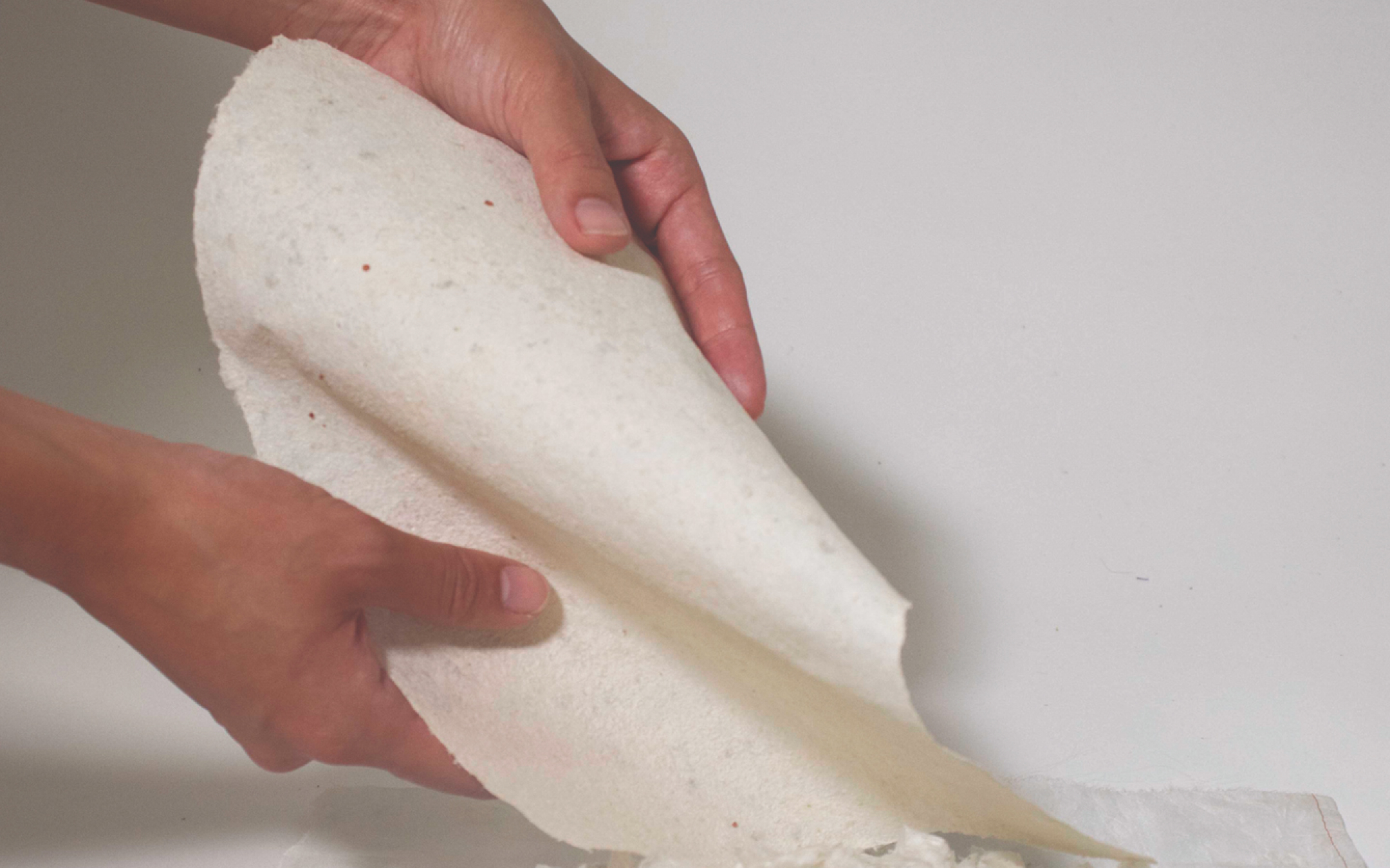 不断缩小的海岸的碎片