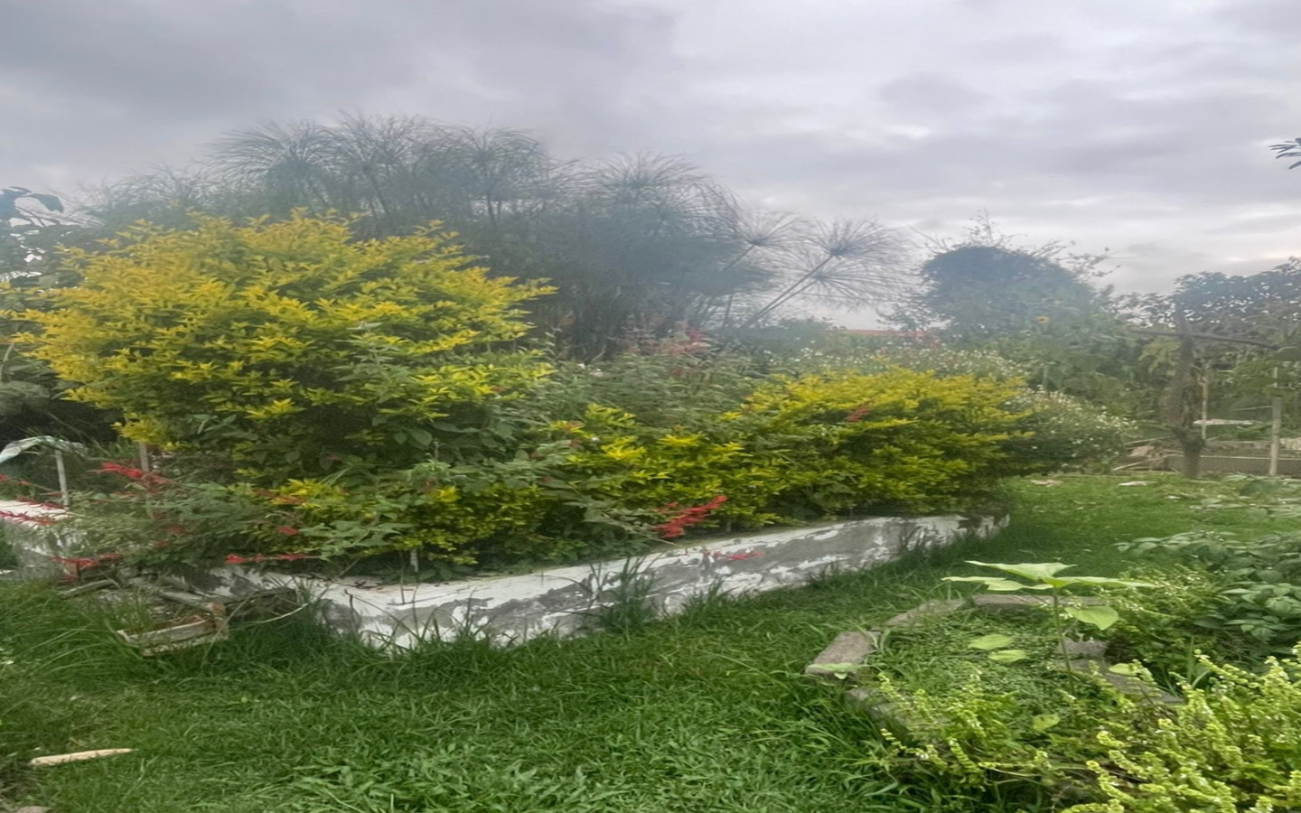 Kpulí Voltando Terra