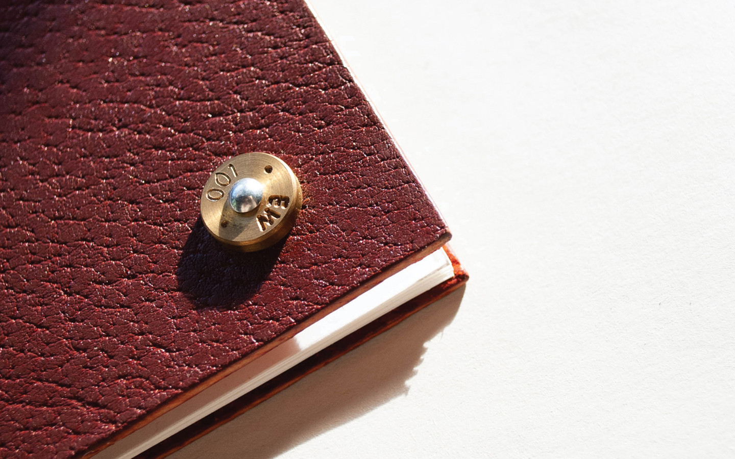 The Weight of the Hide