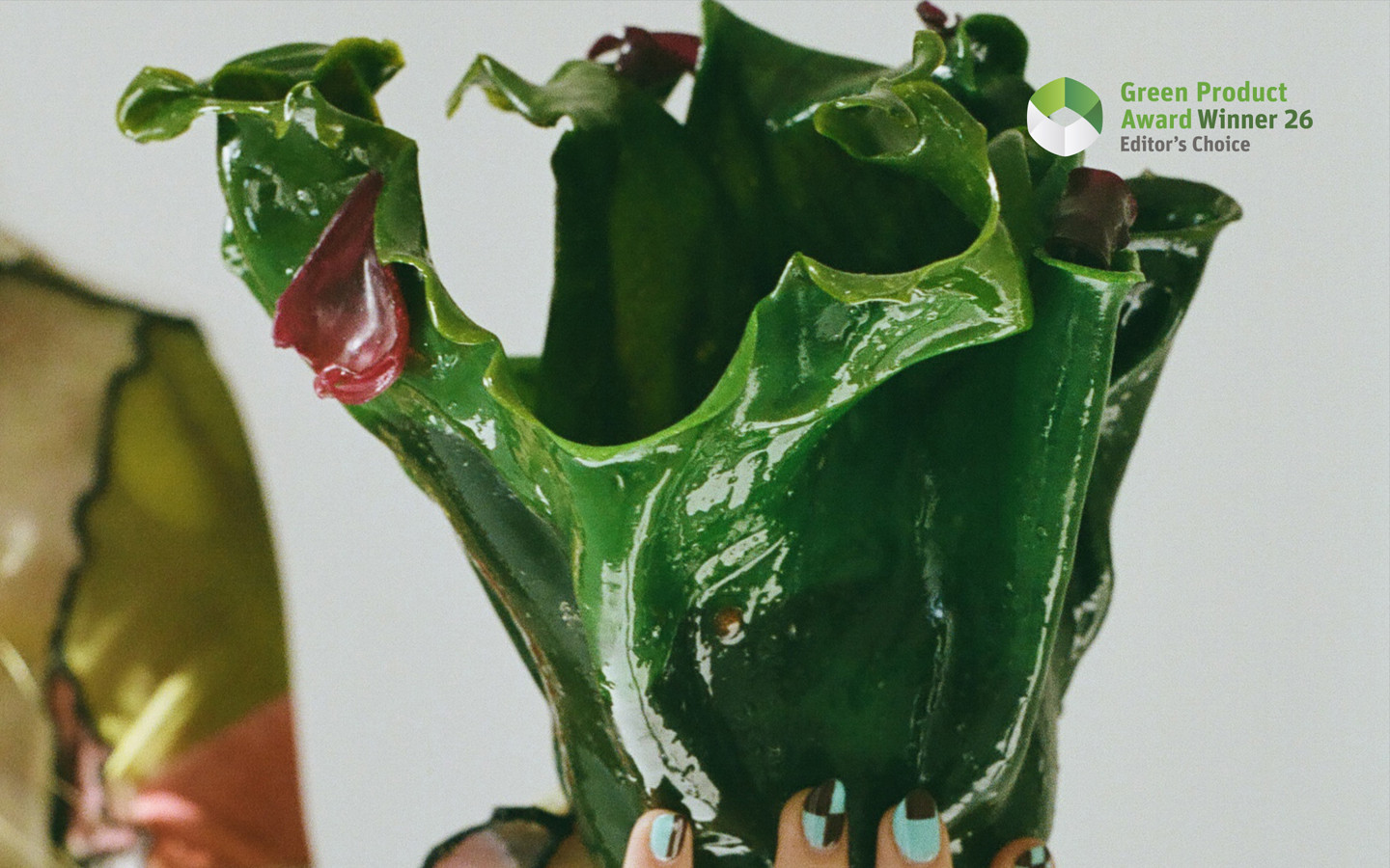 Bioplastic Vessels