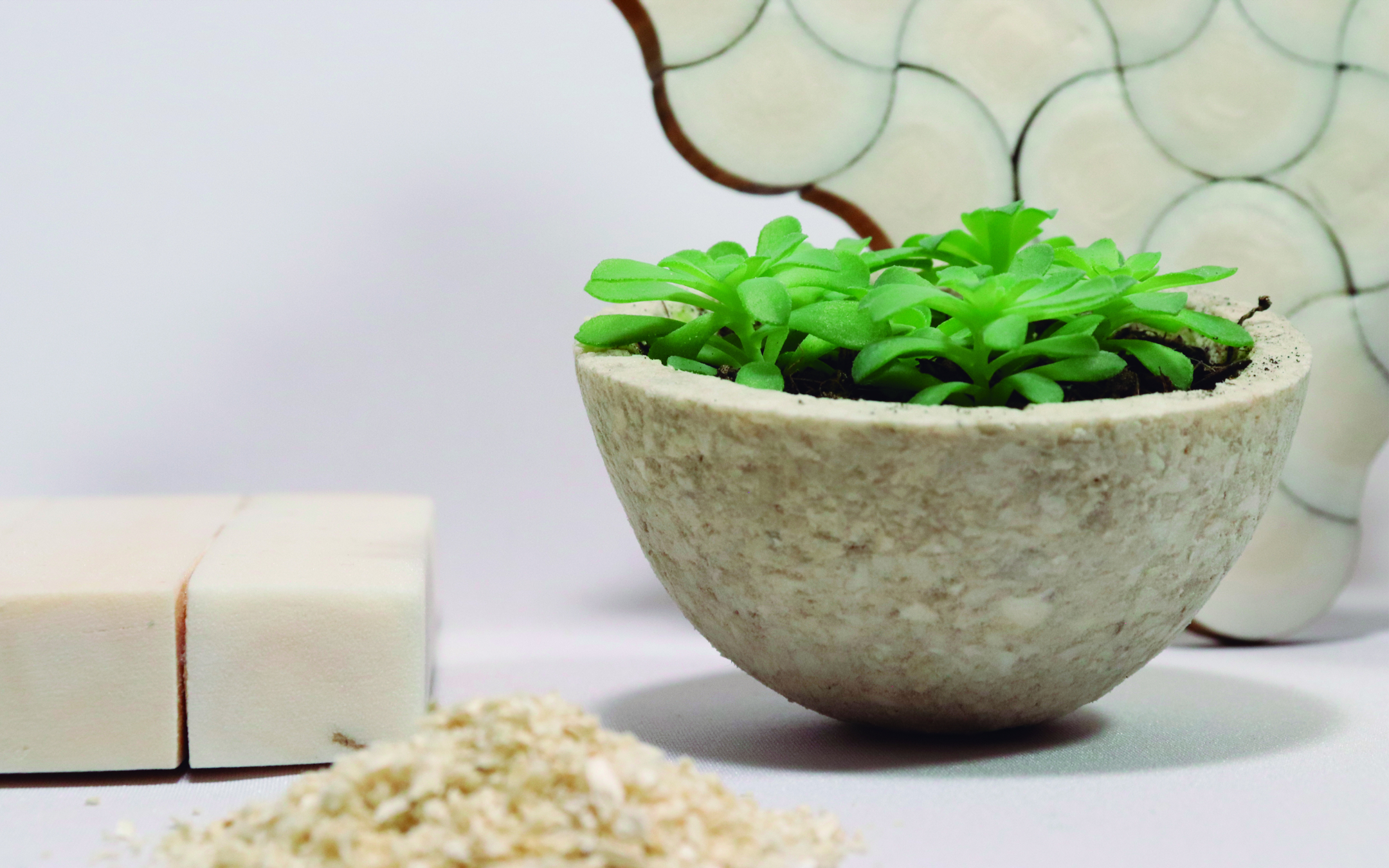 Cocua, Andean green treasure