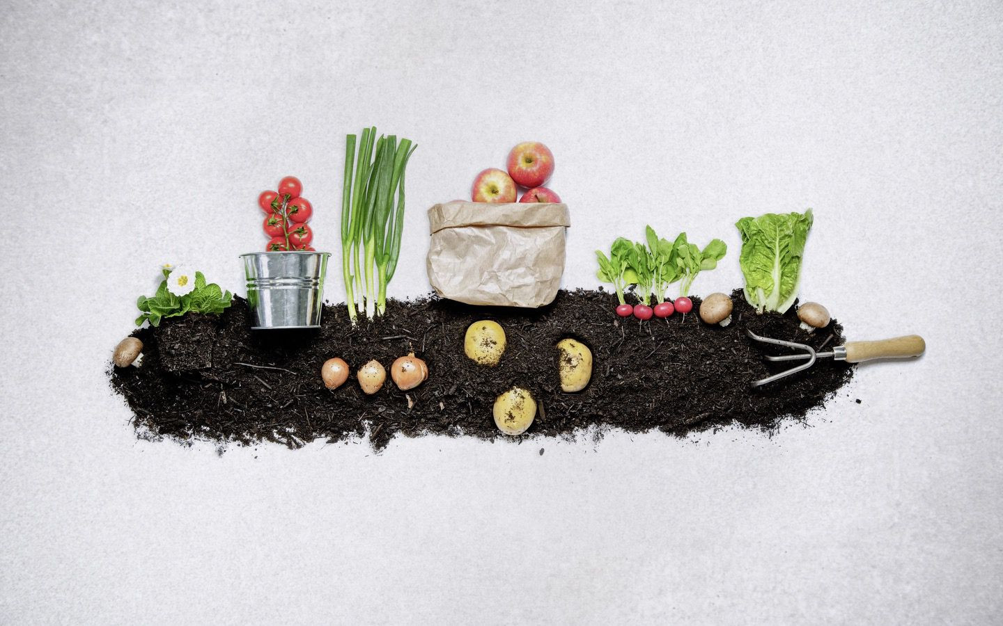 bionero Bio Aktiverde