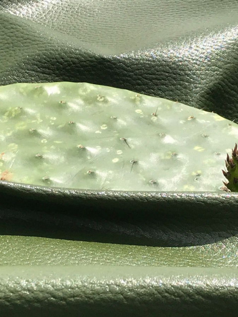 DESSERTO |CACTUS VEGAN LEATHER | Green Product Award